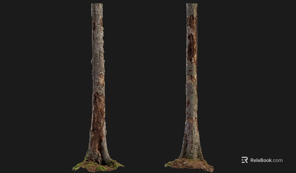 Natural Stone And Wood Tree Trunks With Bark Texture And Mossy Base Decorative Elements 3d model 