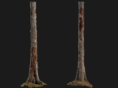 Natural Stone And Wood Tree Trunks With Bark Texture And Mossy Base Decorative Elements 3d model
