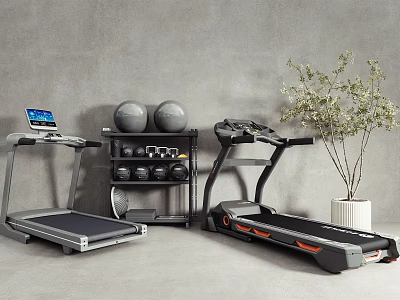 Fitness Equipment Setup With Treadmills Dumbbells Fitness Balls And Storage Rack 3d model