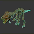 Realistic Dinosaur Skeleton Model Display With Detailed Anatomical Structure And Standing Pose 3d model