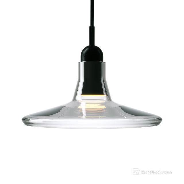 Modern Clear Glass Pendant Light With Black Accent And Visible Bulb 3d model 