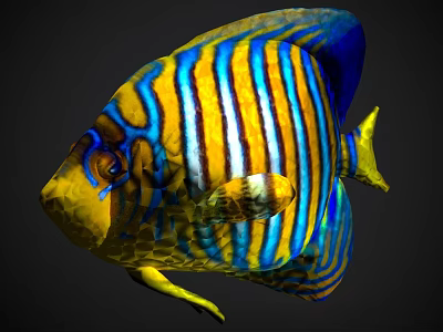 Colorful Tropical Fish With Blue Yellow Orange Stripes And Vibrant Body 3d model