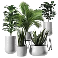 Various Green Potted Plants with Different Shapes Heights and White Pots on Metal Stands