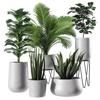 Various Green Potted Plants with Different Shapes Heights and White Pots on Metal Stands 3d model