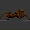 Copper Colored Spider With Eight Legs Shiny Appearance Dark Background Reflections
