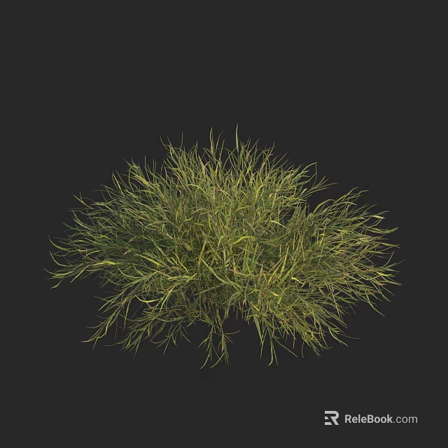 Lush Green Grass Clump With Natural Texture On Black Background 3d model