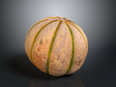 Fresh Ripe Cantaloupe Melon With Yellow Green Stripes And Smooth Surface On Dark Background 3d model