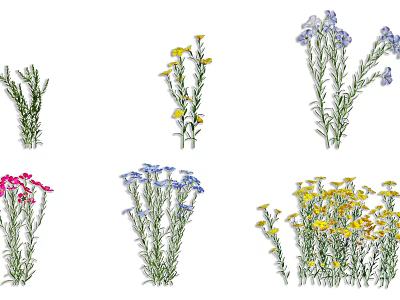Colorful Flowers and Green Plants With Pink Yellow Blue Blooms and Fresh Stems 3d model