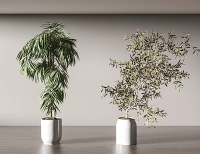 Modern potted plants potted plants 3d model Modern potted plants potted plants 3d model