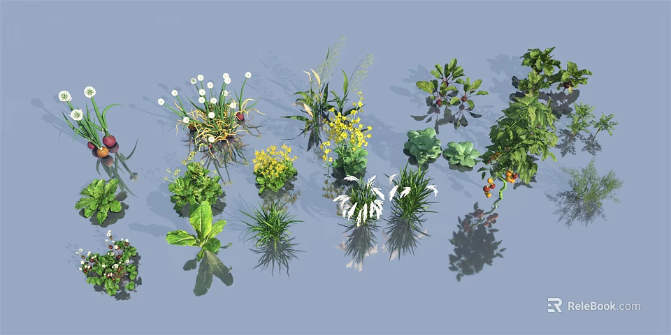 Various Types of Crops Including Green Plants Flowers Vegetables and Herbs Collection 3d model 