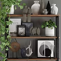 Stylish Shelving Unit with Green Plants Decorative Ornaments Books and Photo Frames