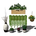 Bonsai and Potted Plants Indoor Display With Wooden Wall Planter Hanging Vines and Succulents