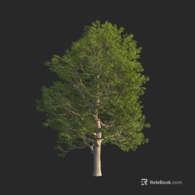 Lush Green Arbor Featuring Thick Trunk And Abundant Foliage In Natural Setting 3d model 
