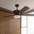 Quiet ancient ceiling fan light 3d model