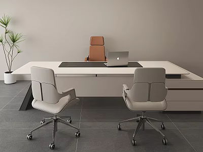Modern Office Desk with Laptop Black Mat Two Gray Chairs Brown Chair and Green Plant 3d model