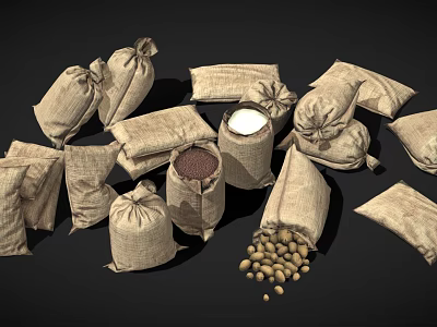 Household Storage Burlap Sacks With Beans Grains And Various Dry Goods 3d model