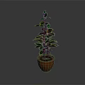 Lush Green Potted Plant With Glossy Leaves In Brown Striped Pot