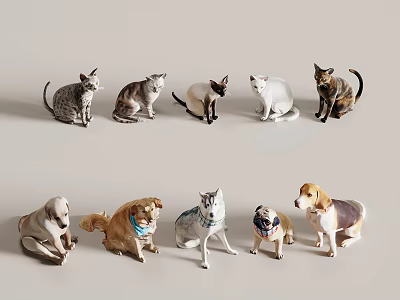 Modern Pet Cat Pet Dog 3d model