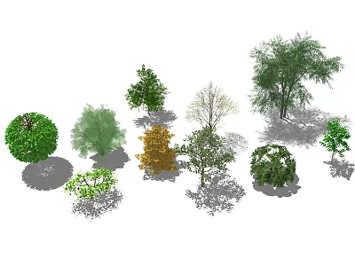 Various Arbor Trees With Different Shapes Green Yellow And Bare Shaded Illustrations 3d model