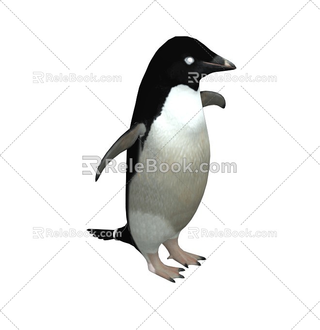 The next generation penguin emperor penguin Antarctic north great penguin little penguin baby penguin penguin with more than 50 sets of movements 3d model