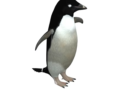 The next generation penguin emperor penguin Antarctic north great penguin little penguin baby penguin with more than 50 sets of movements 3d model