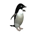 The next generation penguin emperor penguin Antarctic north great penguin little penguin baby penguin penguin with more than 50 sets of movements 3d model