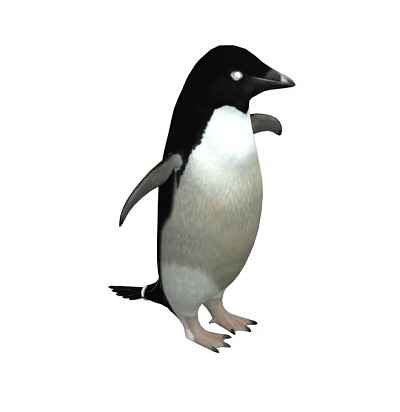 Black and white flying bird with distinct wings standing in natural setting 3d model