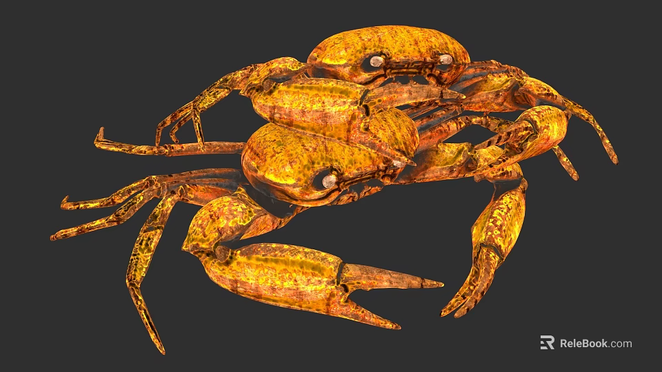 Golden Aquatic Animal Crab With Detailed Claws Legs And Realistic Texture 3d model 
