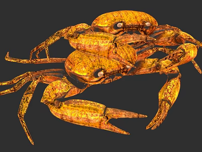 Golden Aquatic Animal Crab With Detailed Claws Legs And Realistic Texture 3d model