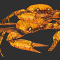 Golden Aquatic Animal Crab With Detailed Claws Legs And Realistic Texture