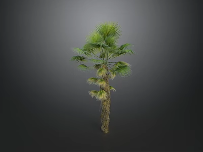 Healthy Shrub with Lush Green Leaves in Natural Gray Background View 3d model