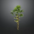 Healthy Shrub with Lush Green Leaves in Natural Gray Background View