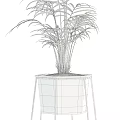 Indoor Potted Plants With Fern Palm And Metal White Stands For Home Decor