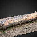 Natural Wooden Public Chair Made From Tree Trunk In Grassy Outdoor Area
