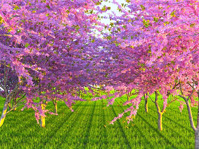 Pink Flowering Cherry Trees Forming Arched Canopy Over Green Grass With Sunlight 3d model