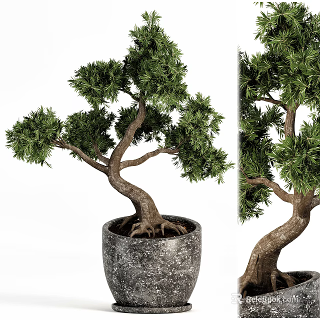 Artistic Bonsai Tree with Twisted Trunk and Lush Green Foliage in Stone Pot 3d model 