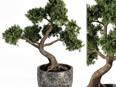 Artistic Bonsai Tree with Twisted Trunk and Lush Green Foliage in Stone Pot 3d model