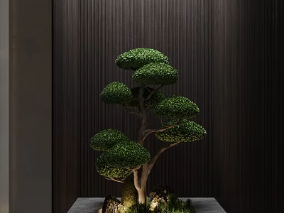 New Chinese Tree Plant Landscape 3d model