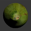 Fresh Ripe Green Avocado With Textured Skin On Dark Reflective Surface