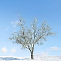 The Modern Tree 3d model