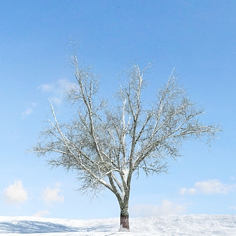 The Modern Tree 3d model