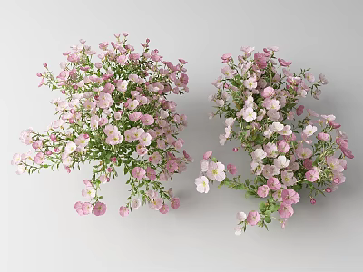 Pink and White Blooming Flowers and Plants With Green Leaves and Decorative Bouquet Arrangement 3d model