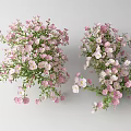 Pink and White Blooming Flowers and Plants With Green Leaves and Decorative Bouquet Arrangement