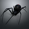 Black Spider 3D Model Rendering With Red Eyes Eight Long Legs on Gray Gradient Background 3d model