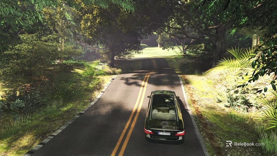 Rural Road Infrastructure With Two Lane Pavement Yellow Double Solid Lines Curb And Green Vegetation 3d model 