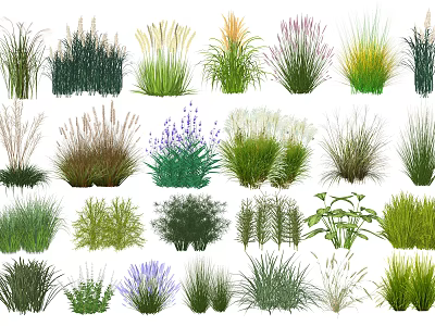 Various Types of Ornamental Flowers and Grasses with Colorful Foliage and Diverse Shapes 3d model