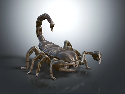 Metallic Scorpion Model Standing On Gray Background With Detailed Features And Lighting 3d model