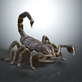 Metallic Scorpion Model Standing On Gray Background With Detailed Features And Lighting 3d model