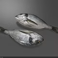 Two Fresh Silver Fish With Black Eyes Fins And Scales For Seafood Cooking