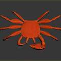 Red Crab Aquatic Animal With Detailed 3D Model Design And Shiny Surface